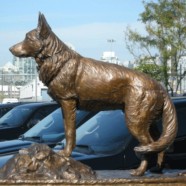 Doing Research the Fun Way – Watching the VPD Dog Squad in Action
