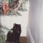 Christmas-George xmas g