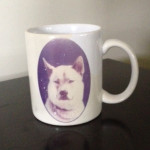 Mug Dog