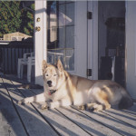 On his deck - old but content.